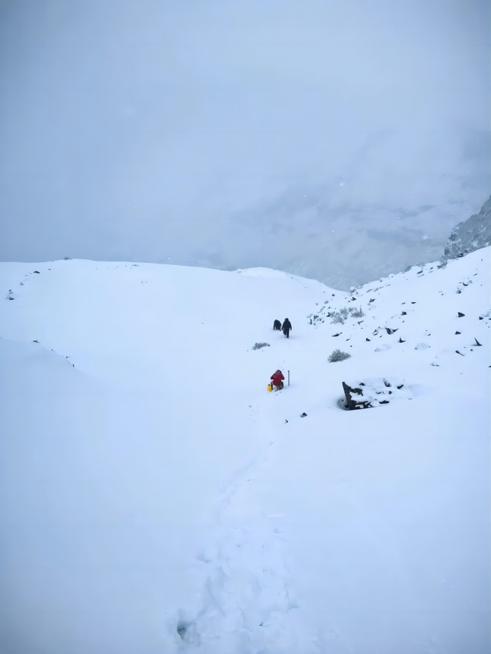 Z6·尊龙凯时「中国区」官方网站